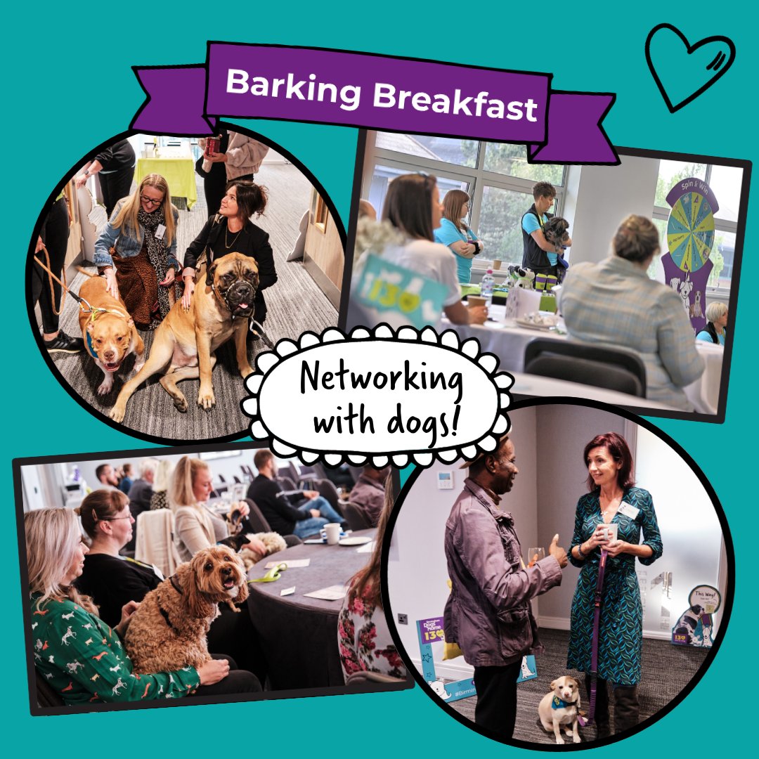 Looking for the paw-fect way to network? Join us for Barking Breakfast Networking on Wednesday, 15th November! Includes breakfast and canine cuddles 🐾 Plus, hear from one of Birmingham's best known dog lovers and all round good guy, @BRUMMIE_PJ ! Tix £5 - bit.ly/BDHBark