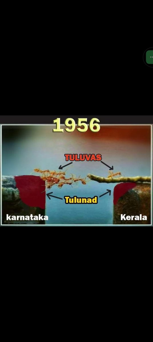 1956, Nov1st - Tulunad got divided between 2 different state. 😔😔😔. #Tulunad
#TulunadState
#BlackDayForTulunad