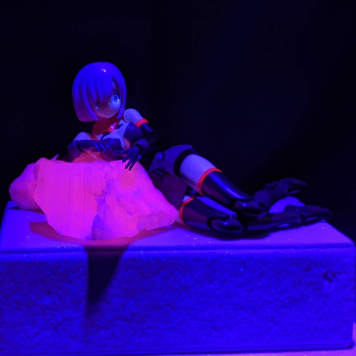 chitake_udonEX's tweet photo. #11月になったのでフォロワーさんに自己紹介しようぜ
一応、ドール、プラモ、鉱石などの趣味アカウントとして再開したはずなのですが、秘密主義な性格が災いし、放っておくと何も投稿しなくなるので、見かけた花等を週一程度で投稿している現状です。

花以外も投稿できるよう頑張ります… https://t.co/gexwWfoLdW