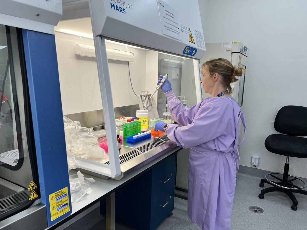 Performing RNA extraction from the plasma samples of stroke survivors in our newly established PC2 facility at UniSQ Toowoomba campus. Thanks to the leadership of @elizajwhiteside and support of @BiomedMedLabUSQ @unisqaus @USQHealth for making this possible. #strokerecovery study