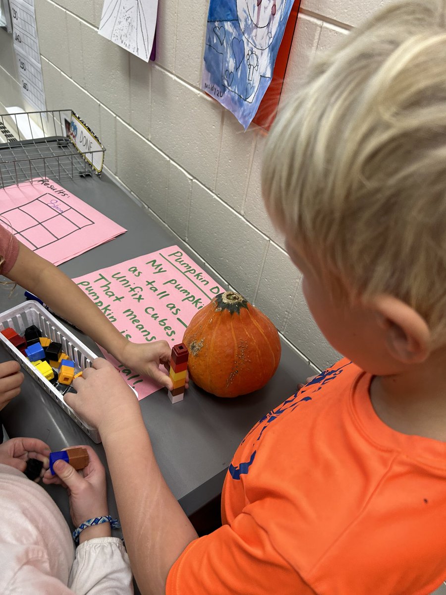 k8seifert's tweet image. Investigating pumpkins! 2nd graders investigated height, circumference, and weight of several pumpkins. Then messy math we grouped seeds by 10, then by 100 after estimating how many seeds were in the pumpkin.#countingcollections #mckinleystrong #owatonnaproud @Mckinley2nd