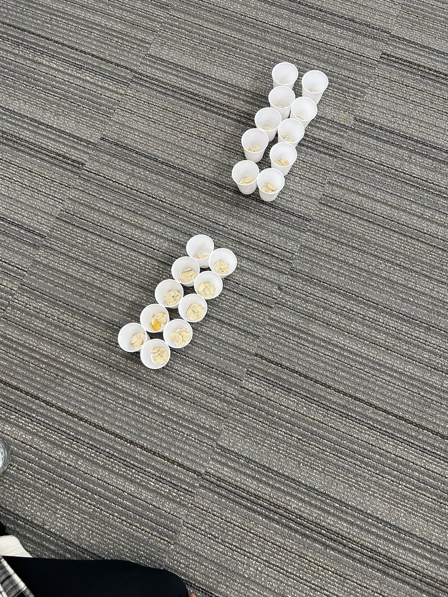 k8seifert's tweet image. Investigating pumpkins! 2nd graders investigated height, circumference, and weight of several pumpkins. Then messy math we grouped seeds by 10, then by 100 after estimating how many seeds were in the pumpkin.#countingcollections #mckinleystrong #owatonnaproud @Mckinley2nd