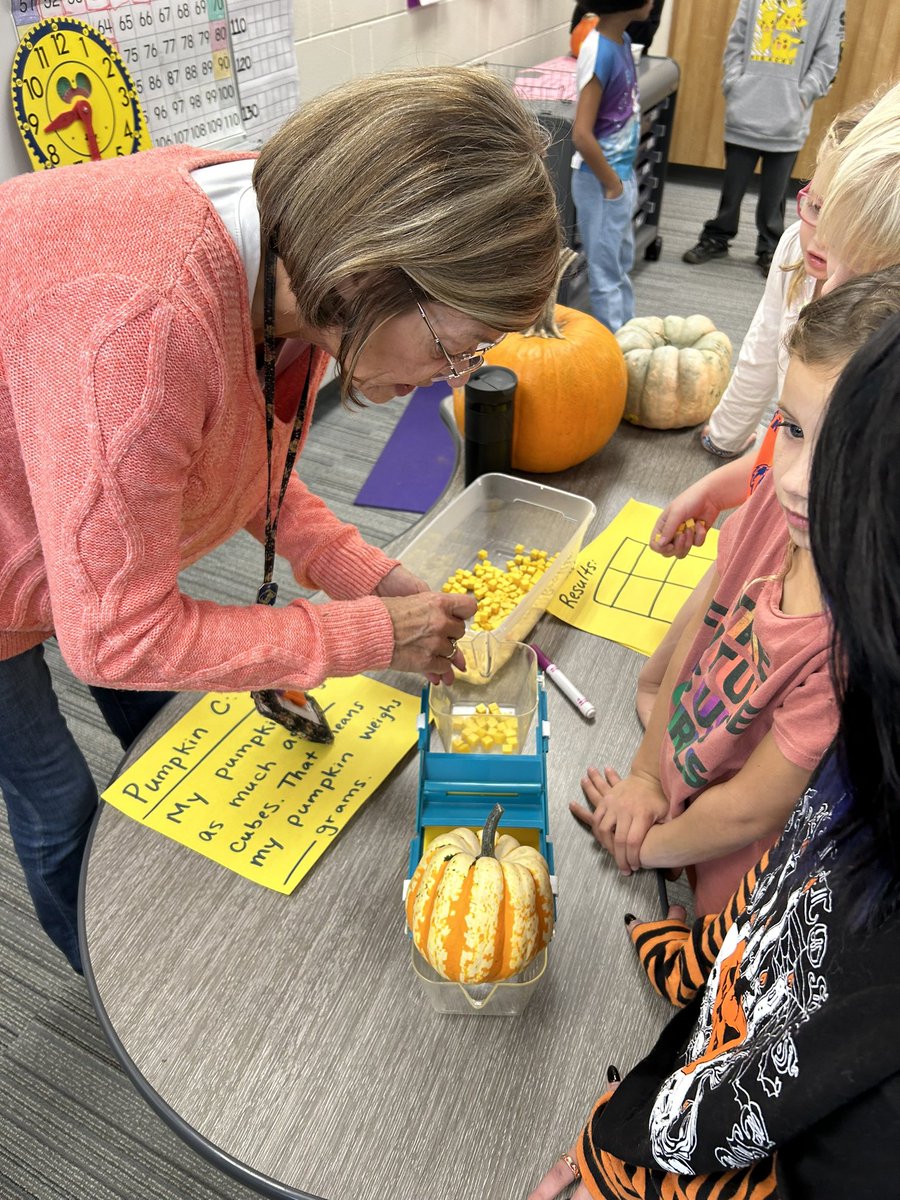 k8seifert's tweet image. Investigating pumpkins! 2nd graders investigated height, circumference, and weight of several pumpkins. Then messy math we grouped seeds by 10, then by 100 after estimating how many seeds were in the pumpkin.#countingcollections #mckinleystrong #owatonnaproud @Mckinley2nd