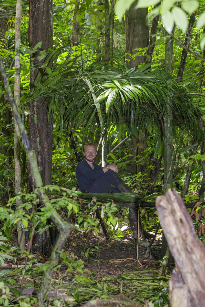 Oxford Biology tweet media