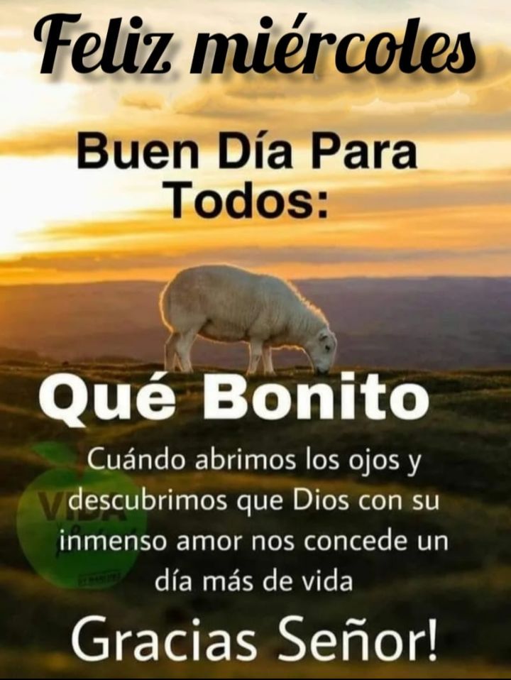 PabloJota27's tweet photo. ((( #NUEVOMES ))) El Talento Es Aquello Que Tú Haces Muy Bien De Manera Natural-Fácil Y Que A Otros Les Cuesta Mucho Y Les Encantaría Tener. #MESDEBENDICIONES #MESDEÉXITOS AMÉN 🙏🙏 https://t.co/uwNhGtpLti
