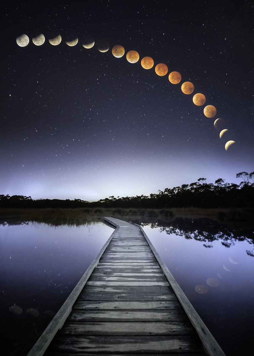 Craig Crosthwaite tweet media