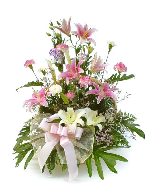 countryflora's tweet image. 🌼🍰 Unwrap happiness with CountryFlora's swift flower and cake delivery  in India! 🏡💕 Discover the art of gifting joy at any hour. Same day or  midnight, we've got you covered! 🌙 #FlowerDelivery #CakeDelivery  #CountryFlora #Gifts #MidnightSurprise