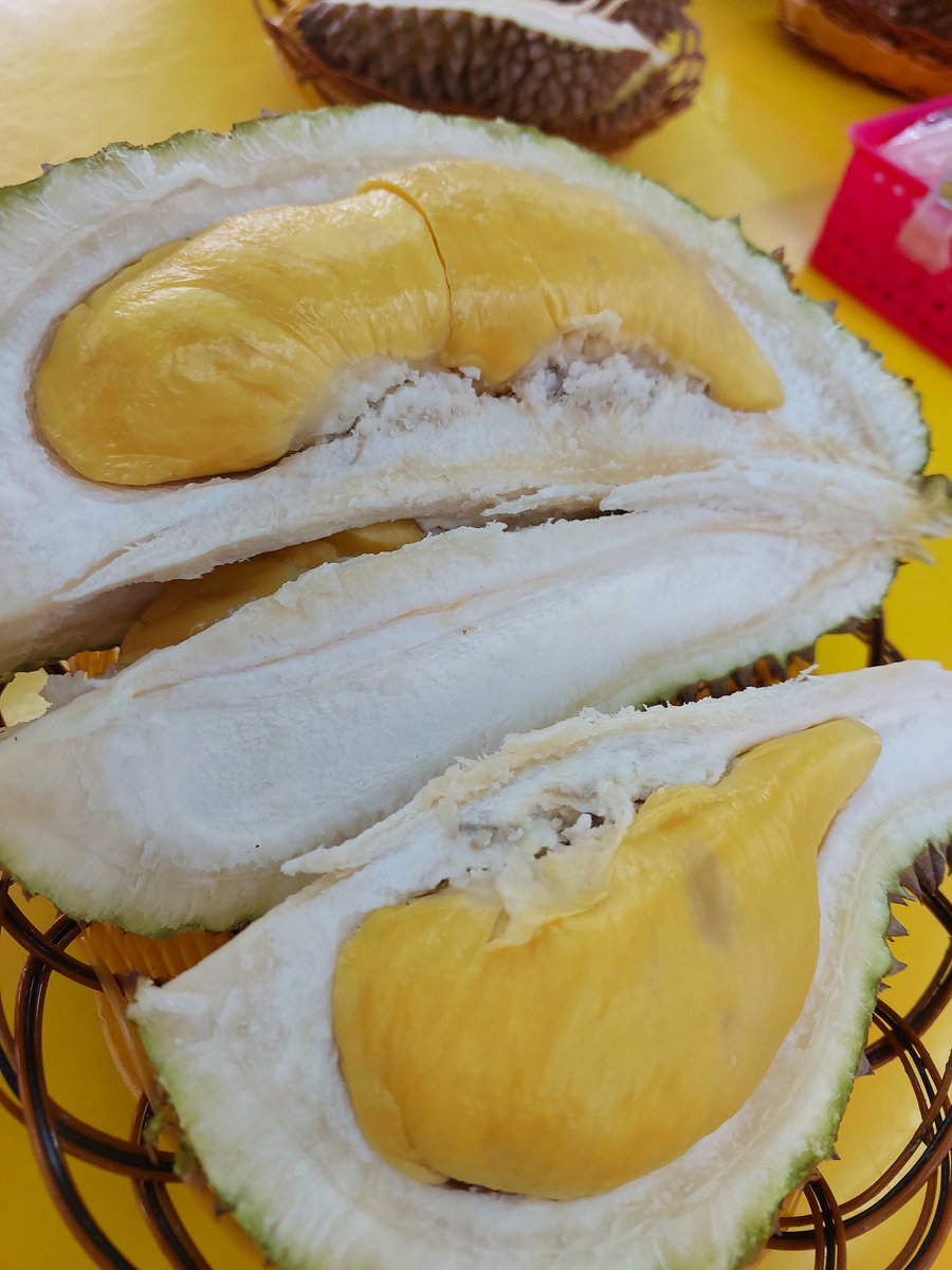 Musang King