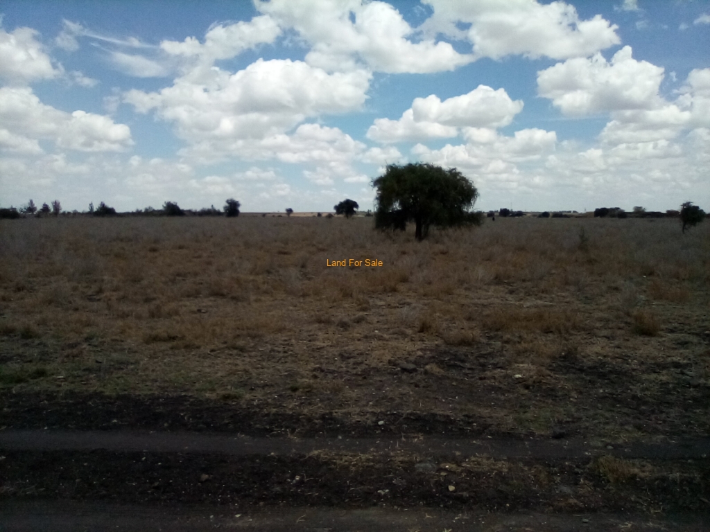 SimkarGroup's tweet image. 10-Acres of Land For Sale in Olooloitish - Kiserian - Isinya Rd

Please see more details on our website using the link below: bit.ly/47VwFxQ

Call us at 0728 990415 and or +254 773 587 407

#propertiesinkiserian 
#Propertiesforsale