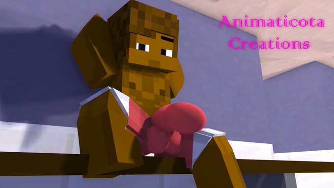 Animaticota’s pics and videos