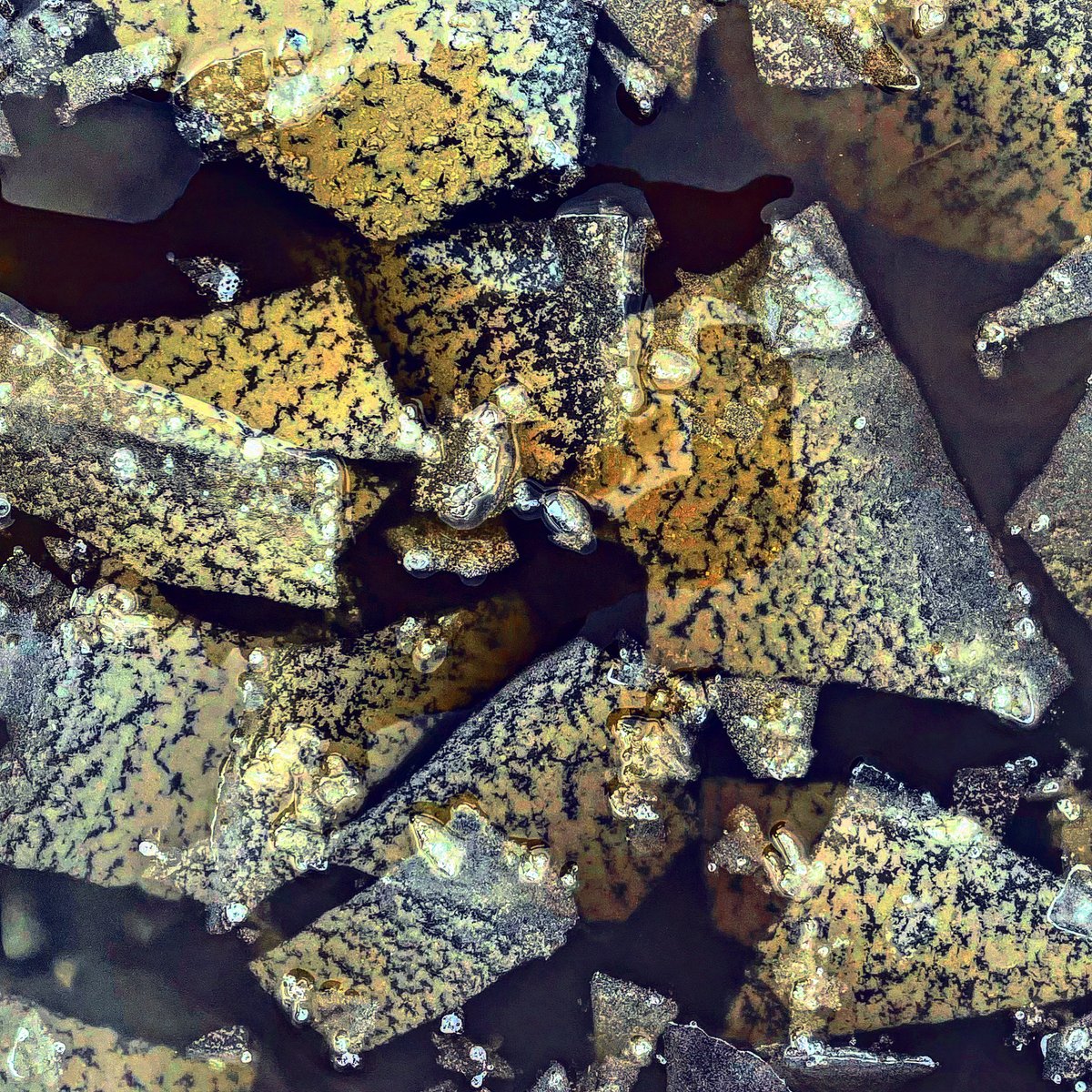 _ad_inf_'s tweet photo. Entitled "shiver" ...what a dramatic scene: Ice floes drift on a puddle and collide.🙀🟪⬛️🟧🟨⬜️
Colors, textures and depth emerged while editing.
#photoart #abstractaddict #abstractvision #digitalmanipulation #evanescence https://t.co/QV3c5jkXY5