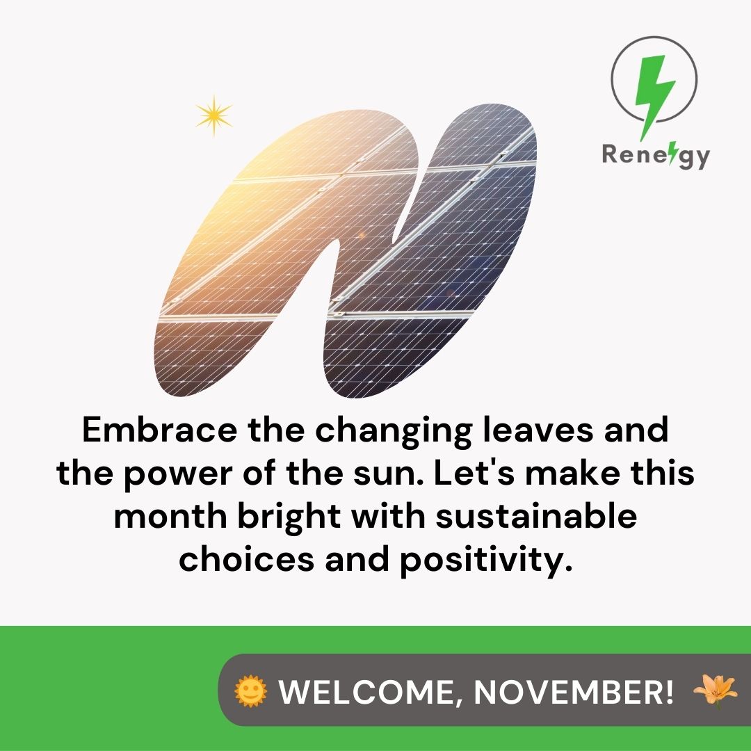 renergy_systems's tweet photo. Welcome to November 
#happynovember #solarpower #gosolar #cleanenergy https://t.co/Jm6My8eEyg