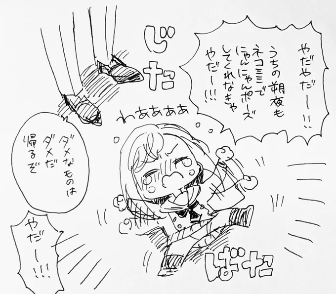 ナンジャ朔夜だけがいない弊オケコンミス