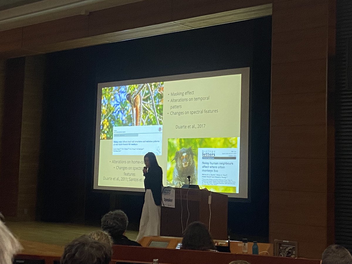 AariniGhosh's tweet photo. My favourite session!!
Primate bioacoustics ❤️
Started with cool talk on Primate rhythms by @Marco_Gamba carried with @DariaValente @jen_muir93 and effect of noise on  primate calling activity by #MarinaDuarte🌸
@HokkaidoUni #IBAC2023 https://t.co/iZGZTb8O55