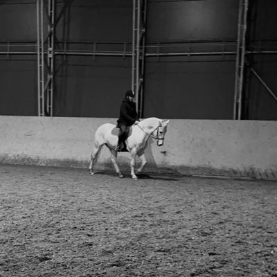 Slothien's tweet image. #NewProfilePic