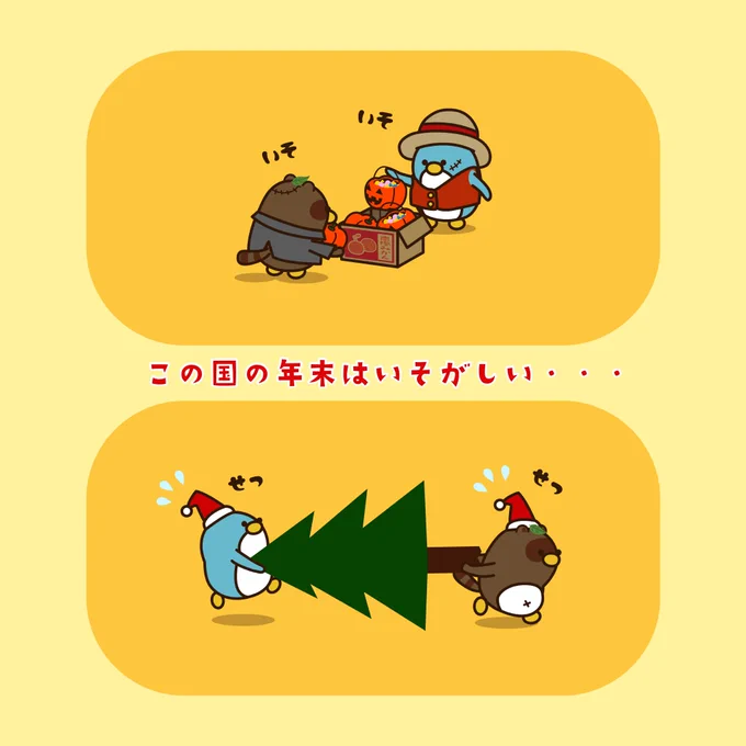 「ハロウィン」終わったら すぐに「クリスマス」・・・  #ペンギン #ペギー #たぬき #クリスマス