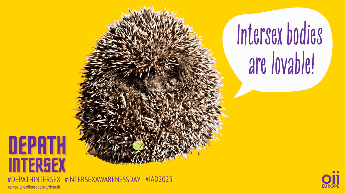 OIIEurope's tweet photo. #Intersex bodies are lovable just as everyone else’s. Being born with variations of sex characteristics is okay, is healthy, is beautiful.

Learn more and please help to raise awareness about how to #DepathIntersex by sharing: https://t.co/eWR6f9fLt1 

#IAD23 #IAD2023 https://t.co/KBzIIDv2av