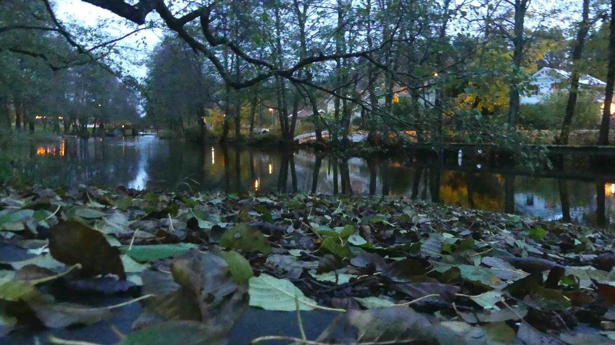 Authorportrait's tweet photo. #Morning #Canal #Leafes #Autumn #Åkersberga #Österåker #Sweden #Nature #Photo #Photography https://t.co/NsGpXZOjy7