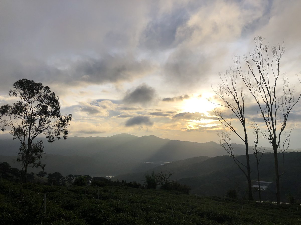 pcn240799's tweet photo. https://t.co/aVodRO1qPW