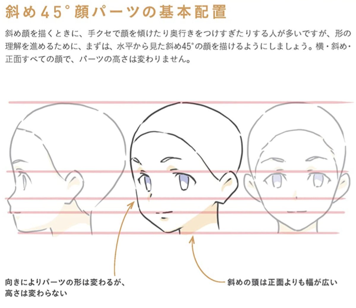 【斜め45度の顔は横顔の70%‼︎】
横顔の輪郭線の約70%が斜め顔45度の正中線になる。
さらに正面顔の輪郭線の70%が斜め顔45度の側面線になる。
理屈を知ることで絵を見る目が爆上がりして上手くなる。
最強3ステップでラクラク顔・バストアップ作画術より
https://t.co/bLWSt9e865