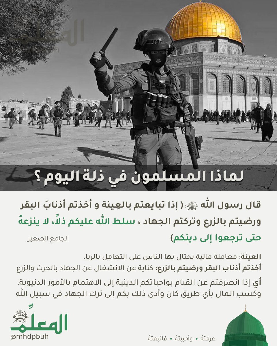 لماذا المسلمون في ذلة اليوم ؟

#Gaza_Genicide