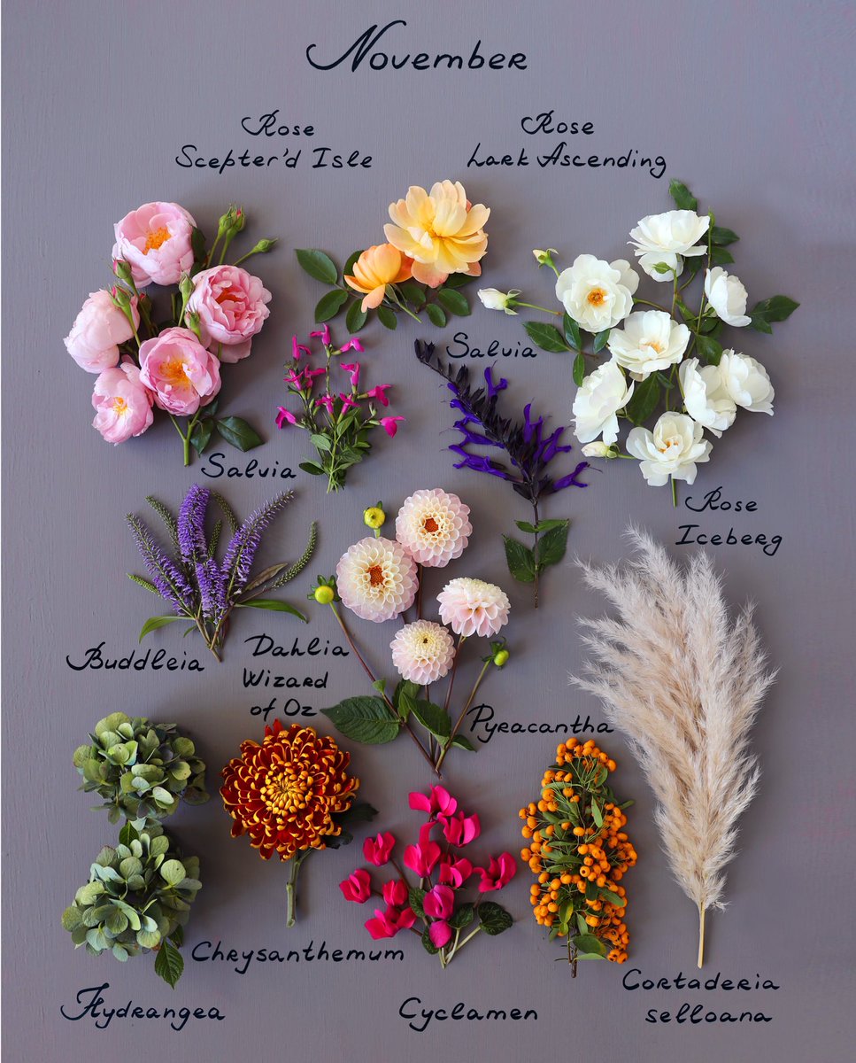 Happy 1st of November! 
The new Botanical Calendar is now in stock on my website. 
london-blooms.com