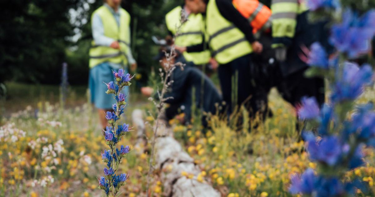 Järjestä talkoot tai tempaus ja hae ympäristönsuojeluavustusta dlvr.it/SyDSKd #Tampere