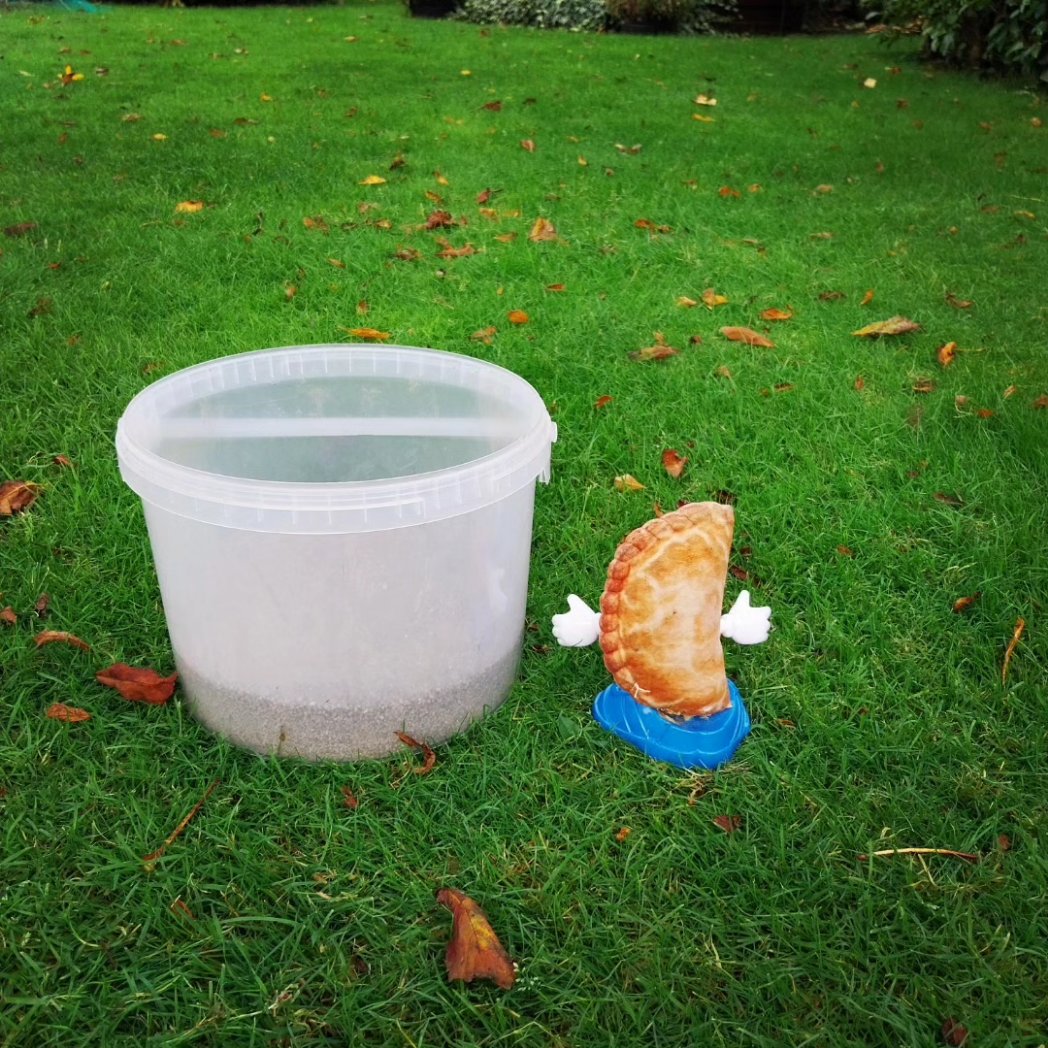 Now all those leaves are gathered up off the grass, its time to give the lawn a feed for Autumn, so it will help it stay nice & strong & healthy over the winter. ...... Good luck lawn❤️

#PastysGarden🌻 #AutumnFeed #Lawncare #GreenGreenGrass #LookingAfterTheLawn