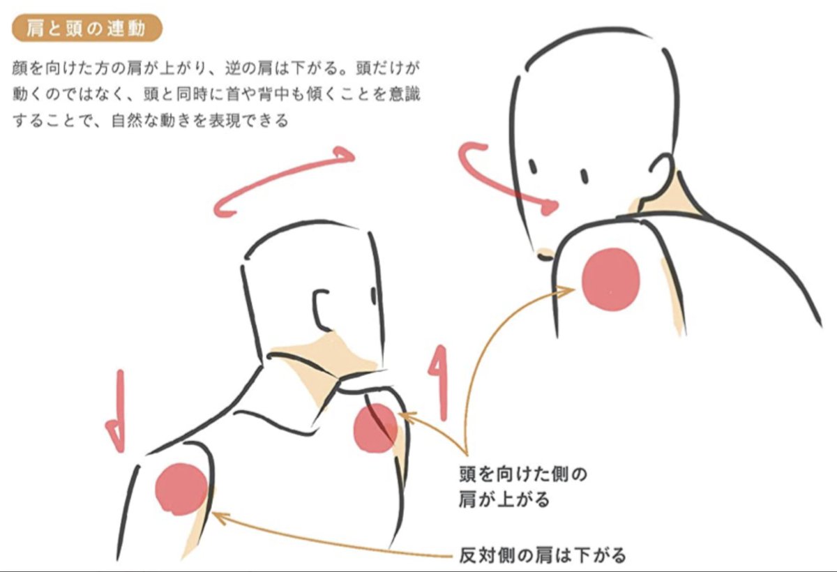 【肩は自由に動く!!】 頭、首、肩、腕は全て連動して動く。 動きが硬い、ポーズが不自然に描いてしまう原因はデク人形発想だから。 自分で演技して全身の連動を確認しよう。 最強3ステップでラクラク顔・バストアップ作画術より https://www.amazon.co.jp/dp/4767829607/ref=cm_sw_em_r_mt_dp_KF6SFQX8G1K9G8C16EA9?_encoding=UTF8&psc=1