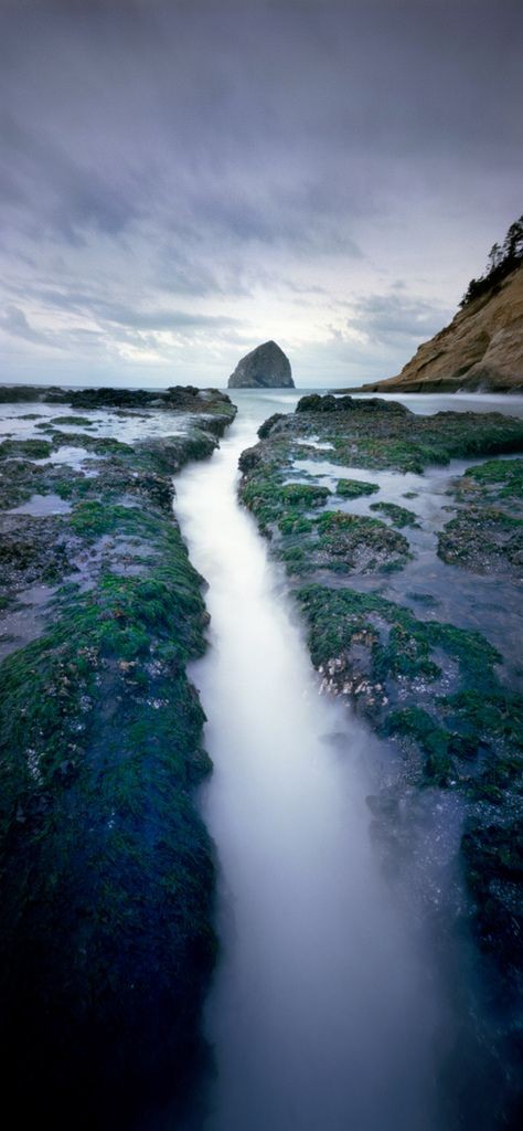 Comeawaywithmie's tweet photo. 📍Cape Kiwanda State Natural Area, State park in Pacific City, Oregon, USA 🇺🇸 https://t.co/PRIcaLomBm