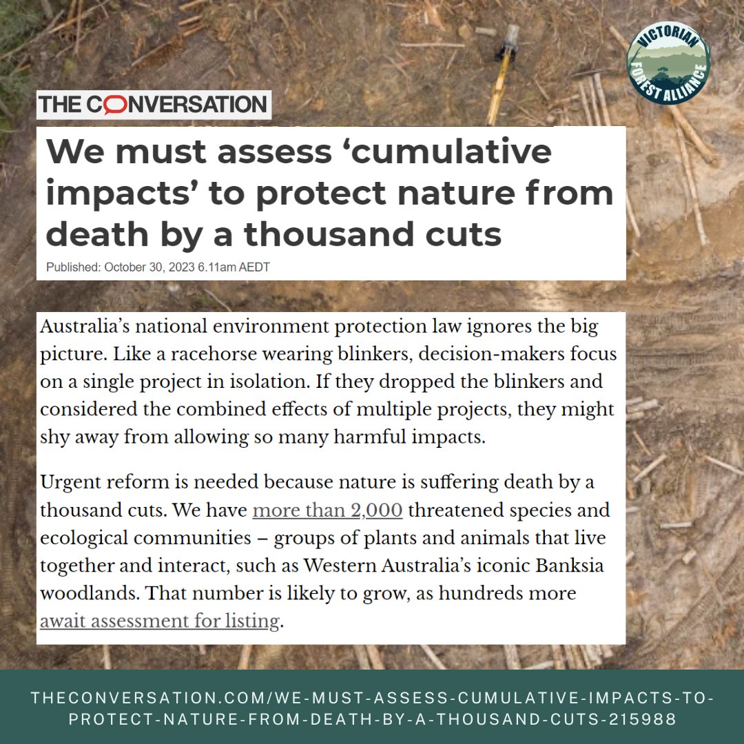 alliance_forest's tweet image. Some scrutiny over Australia's #EnvironmentLaws in the news this week, on The Conversation.

Read it here: theconversation.com/we-must-assess…