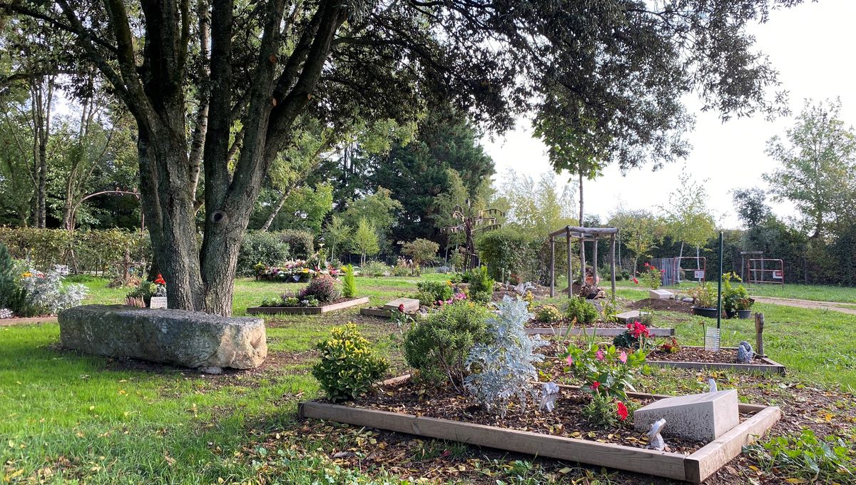 BosettiLaurent's tweet photo. 🍂 En 2024, le Pôle funéraire public de #Lyon lance Naturalis, une offre de funérailles écologiques pour les familles souhaitant une cérémonie plus sobre et naturelle. 
🌳 Empreinte carbone réduite, tarif plus accessible.
#funeraire #ServicePublic https://t.co/z2ZGkamovh