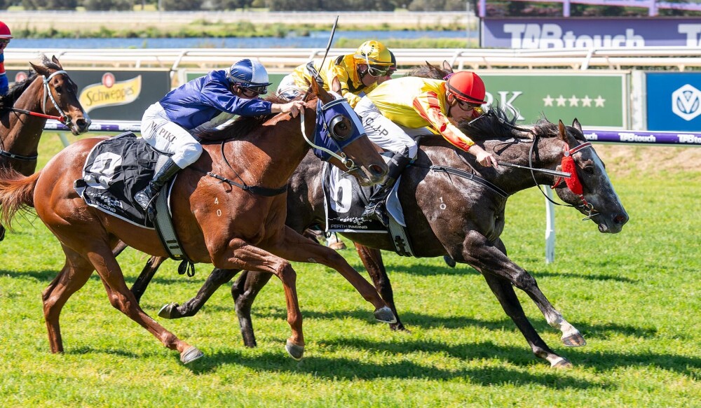 KING'S PARADE (Clint Johnston-Porter) Won R3 Reliable Asset Maintenance Maiden on Wednesday 1 November at Ascot Racecourse.
📸 <a href="/WesternRacepix/">Western Racepix</a>