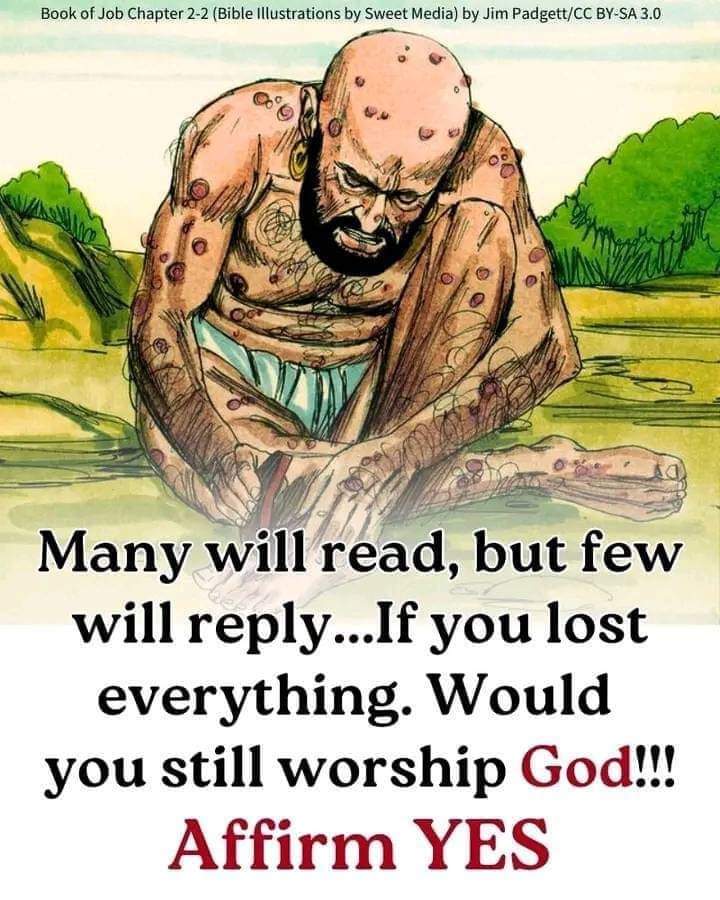 thompsonb2569's tweet photo. Though He slay me, yet will I trust in Him: but I will maintain mine own ways before Him. 
- Job 13:15 https://t.co/mErEs4DGWh