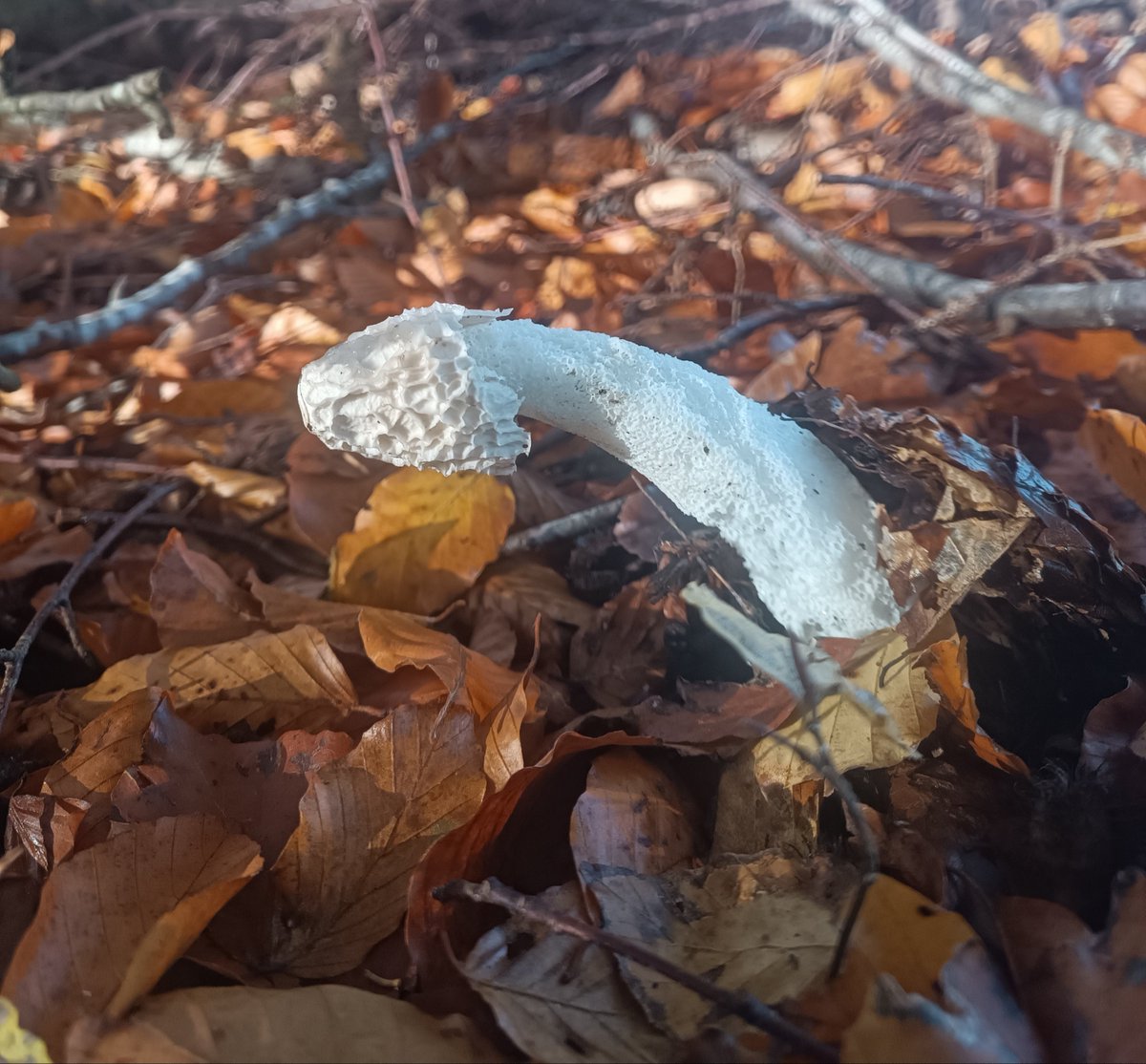 The Nature makes me horny❤️