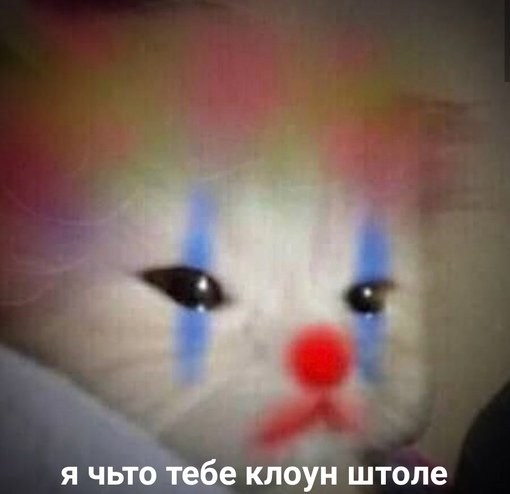 <a href="/kkkkkkkk_rt/">кошка-картошка</a> Вся моя жизнь ето мемь