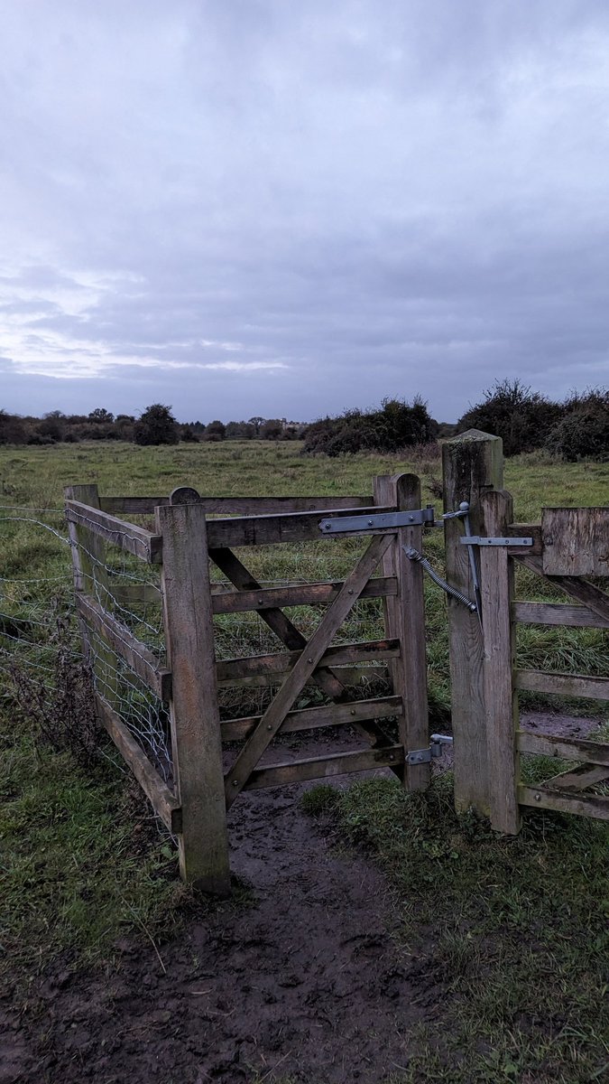 RecyclerBill's tweet image. A selection of #gates, #latches &amp;amp; #hinges captured on my run in #Cambridgeshire this morning.
All hinges correctly installed to prevent lift-off by livestock and thiefs 👍
#QuiteInterestingGatesAbdLatchesOfTheUK
#BillsGates