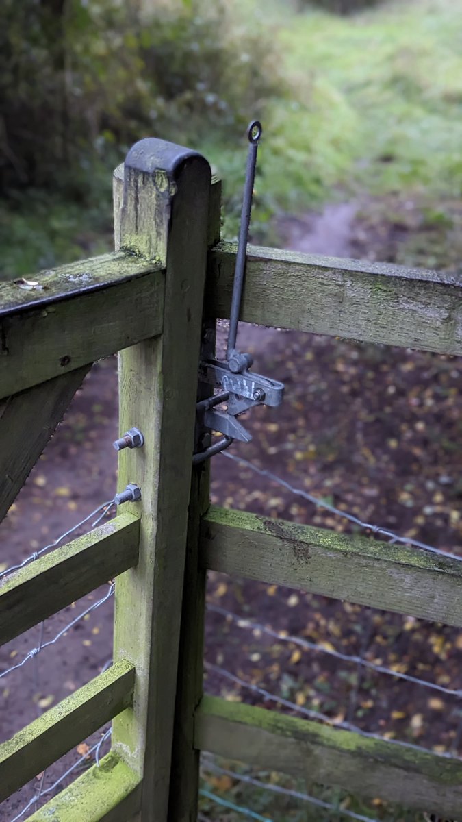 RecyclerBill's tweet image. A selection of #gates, #latches &amp;amp; #hinges captured on my run in #Cambridgeshire this morning.
All hinges correctly installed to prevent lift-off by livestock and thiefs 👍
#QuiteInterestingGatesAbdLatchesOfTheUK
#BillsGates