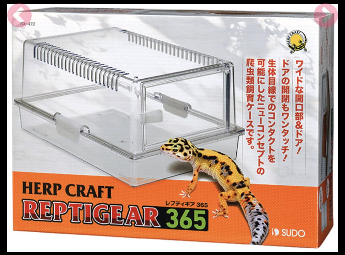 kanon0930rep's tweet photo. 皆さんに沢山教えて頂いた結果、レプタイルボックスとレプティギアで迷ってます…🤔💭
鑑賞性を取るか、お手入れや給餌のしやすさを取るか…。

どちらかを使用している方、改めてメリットデメリットを教えていただけないでしょうか😭 https://t.co/VBZZTgNa0Y
