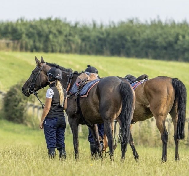 Work Rider required at James Evans Racing, Kinnersley. Accommodation available if required. Please dm me for further information. Come and join an expanding small hard working fun team. #nhhorses #flathorses #TheCotswolds