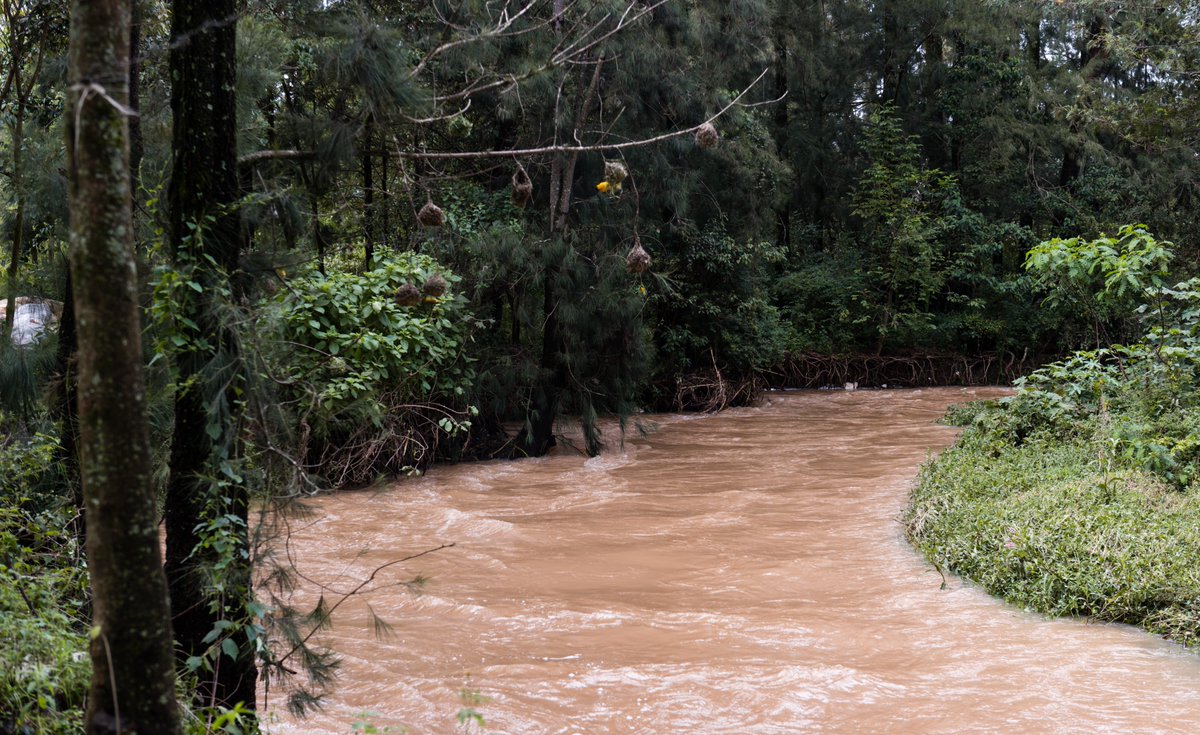 Nature_Africa's tweet photo. Facing a 2% annual drop in crop yields due to soil erosion, farmers by the Yala River catchment are feeling the impact of topsoil erosion. River Yala Water Fund aims to assist, promoting better land-use practices. Learn more about Africa's water funds: https://t.co/YbxSlsNaiR https://t.co/8w0B2ANloV