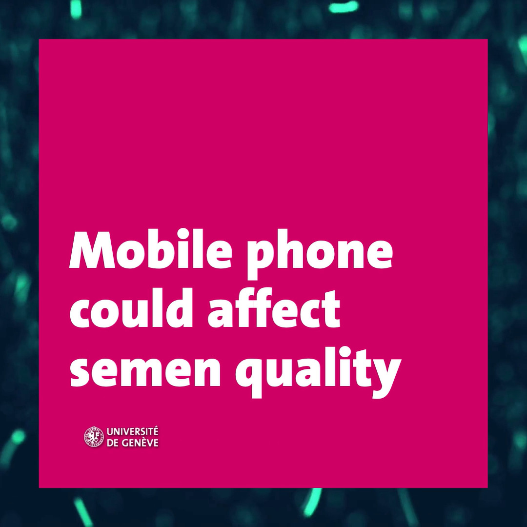 A team from <a href="/Unige_en/">UNIGE_en</a> and <a href="/SwissTPH/">Swiss TPH</a> has published a #study on the impact of #mobile #phones on #sperm quality. It shows a correlation between heavy use and a lower concentration of #spermatozoa. <a href="/rahban_rita/">Rita Rahban</a> <a href="/SergeNef1/">Serge Nef</a> <a href="/MartinRoosli/">Martin Röösli</a>