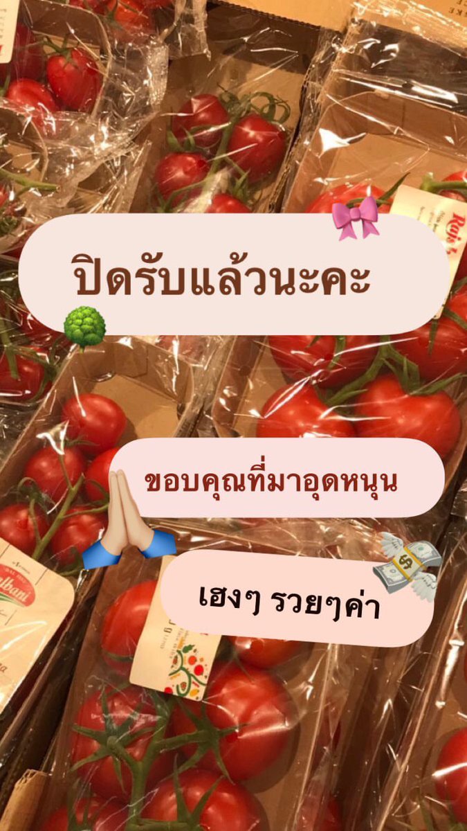 ⌗✿𓊆คูมแพน/ปิด 𓊇𓂋⌗🍊🐰 tweet media