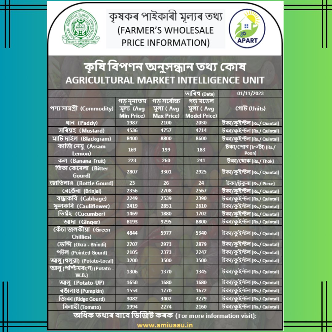 apartassam's tweet image. #StayinLoop➰ I The updated wholesale prices of Assam's Agricultural Commodities are out ⬇️

For more information visit: amiuaau.in

#WholesaleMarket #APARTAssam #agriculture