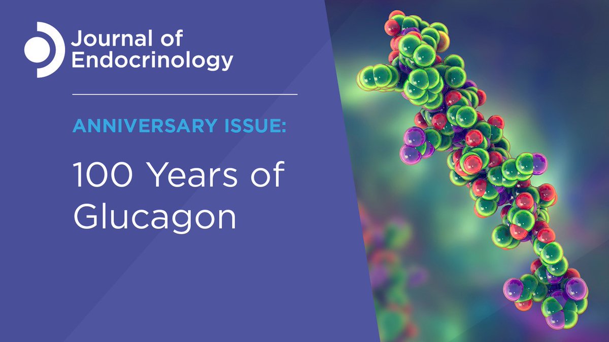 Journal of Endocrinology (@jendocrinology) on Twitter photo Sarah L Armour et al. review the current understanding of the nutrient and #metabolic pathways contributing to the regulation of #glucagon secretion.
Read it here ➡️ow.ly/gJnh50Q09y7
<a href="/JamesCantleyLab/">James Cantley Lab</a> <a href="/Alphacell_metab/">Jakob G Knudsen</a> <a href="/deanlab8/">Dr. Danielle Dean</a> Sarah L Armour et al. review the current understanding of the nutrient and #metabolic pathways contributing to the regulation of #glucagon secretion.
Read it here ➡️ow.ly/gJnh50Q09y7
<a href="/JamesCantleyLab/">James Cantley Lab</a> <a href="/Alphacell_metab/">Jakob G Knudsen</a> <a href="/deanlab8/">Dr. Danielle Dean</a>