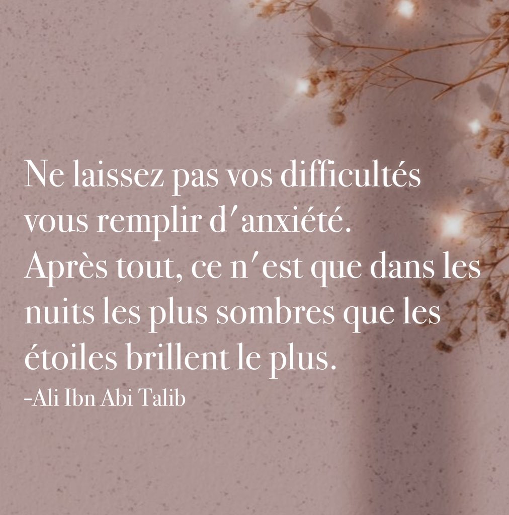 DjadidSaada's tweet photo. Welcome November ✨🌺 https://t.co/mzxI2DdUMx