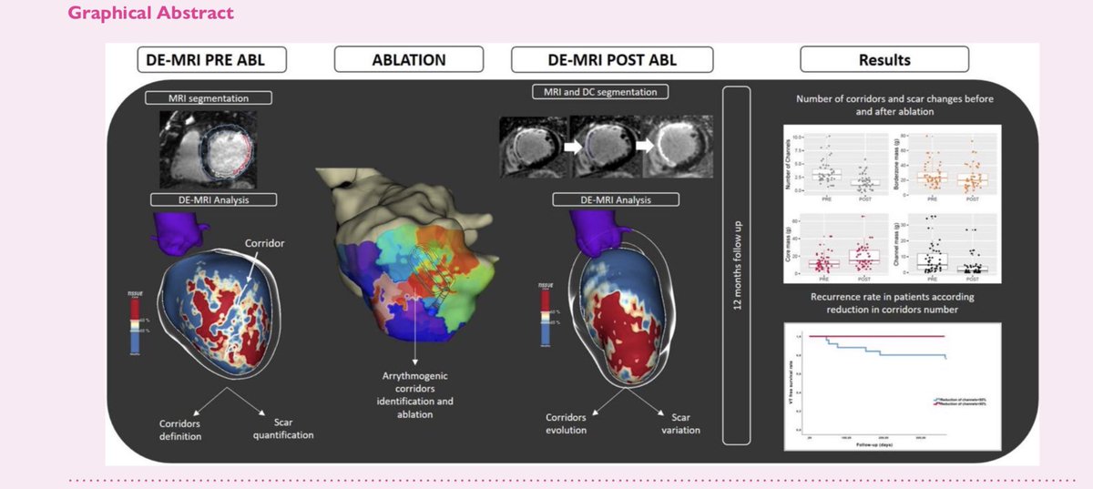 PAM-VT study finally published: academic.oup.com/ehjcimaging/ad…. PostVT ablation MRI to assess VT recurrence/EP+imaging working together: No channel, no VT. <a href="/S_Vazquez_Calvo/">Sara Vázquez</a> <a href="/Pepe_OrtizPerez/">Pepe Ortiz</a> <a href="/aportasanchez/">Andreu Porta Sánchez</a> <a href="/tolosanaviu/">Jose Maria tolosana</a> <a href="/LluisMont2/">Lluís Mont</a> <a href="/EduGuasch/">Eduard Guasch</a> <a href="/masitges/">marta sitges</a> <a href="/hospitalclinic/">Hospital Clínic</a> <a href="/RosaMFiV/">Rosa M.</a> OP.ACCESS