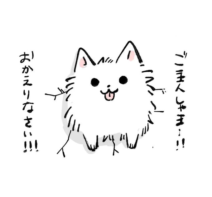 なんと壁にハマってしまったポメ🐶(1/2) 