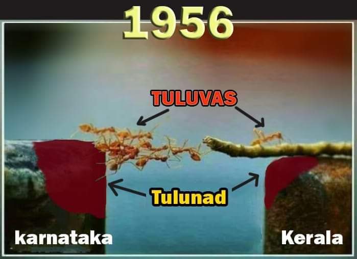 Karthik52364164's tweet photo. #TulunadState https://t.co/k08GyIksP7