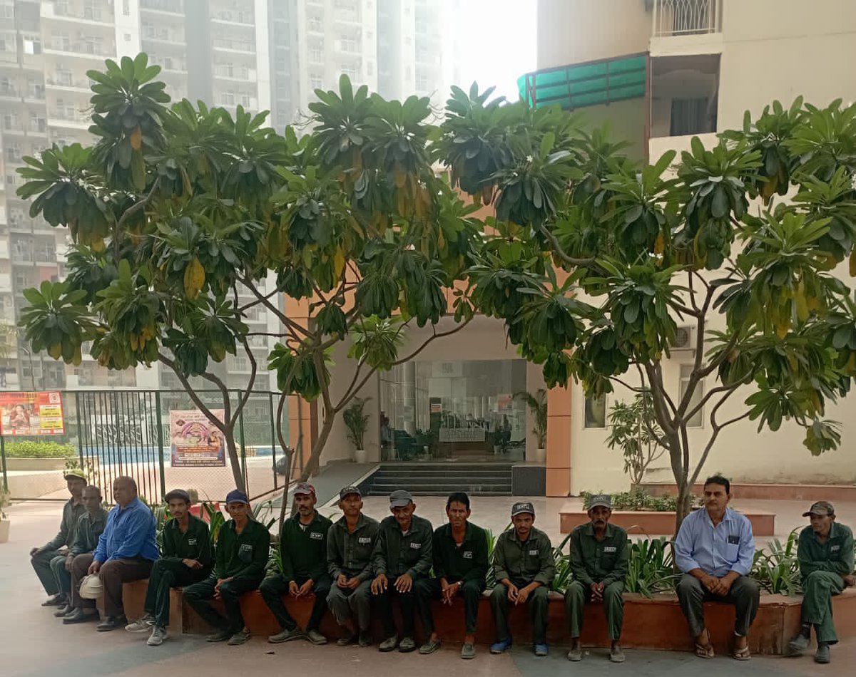 ग्रेटर नोएडा वेस्ट की महागुन मायवुड्स सोसायटी में हॉर्टिकल्चर, प्लम्बर और इलेक्ट्रिशियन स्टाफ की हड़ताल पर। 
स्टाफ का आरोप है कि सितंबर माह से उन्हें वेतन नहीं मिला है। पिछले हफ़्ते भी उन्हें आश्वासन मिला था परंतु उनका वेतन अभी तक नहीं मिला।